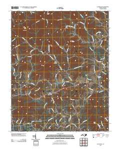 Ellendale 2010 topographic map thumbnail