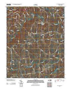 Cool Springs 2010 topographic map thumbnail