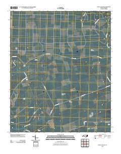 Honey Island 2010 topographic map thumbnail
