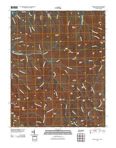 Mount Guyot 2010 topographic map thumbnail