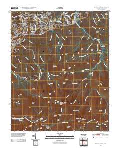 Mount Le Conte 2010 topographic map thumbnail