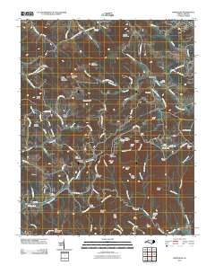 Whitehead 2010 topographic map thumbnail