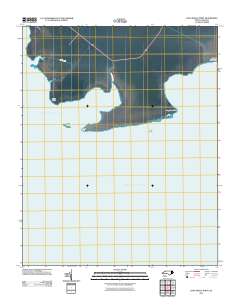 Long Shoal Point 2011 topographic map thumbnail