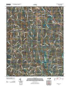 Reepsville 2010 topographic map thumbnail
