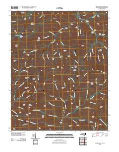 Silers Bald 2010 topographic map thumbnail