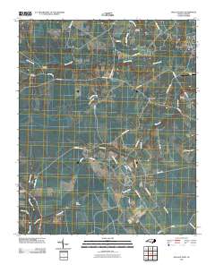 Wallace West 2010 topographic map thumbnail