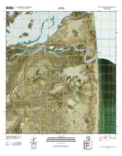 Mouth of Rio Grande 2010 topographic map thumbnail
