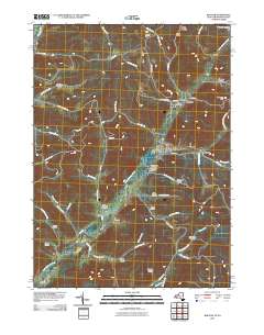 Bolivar 2010 topographic map thumbnail