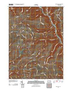 Jersey Mills 2010 topographic map thumbnail