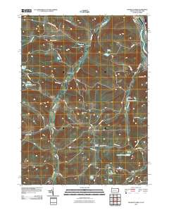 Franklin Forks 2010 topographic map thumbnail