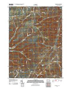 Ellisburg 2010 topographic map thumbnail