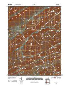 Ickesburg 2010 topographic map thumbnail