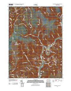 Hammersley Fork 2010 topographic map thumbnail