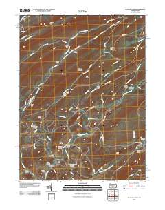 McAlevys Fort 2010 topographic map thumbnail