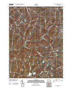 Montrose West 2010 topographic map thumbnail
