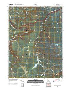 Black Moshannon 2010 topographic map thumbnail