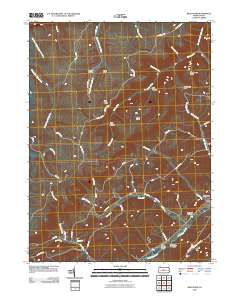 Bear Knob 2010 topographic map thumbnail