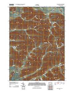 Bullis Mills 2010 topographic map thumbnail
