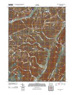 Buffalo Mills 2010 topographic map thumbnail