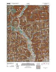 Cogan Station 2010 topographic map thumbnail