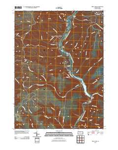 First Fork 2010 topographic map thumbnail