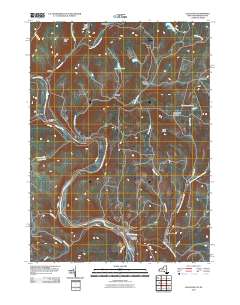 Callicoon 2010 topographic map thumbnail