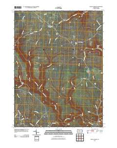 Devils Elbow 2010 topographic map thumbnail