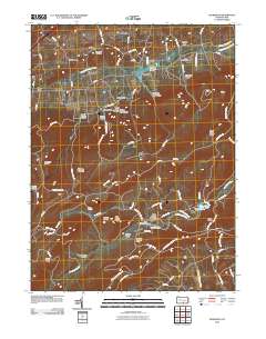 Dickinson 2010 topographic map thumbnail