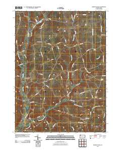 Dempseytown 2010 topographic map thumbnail
