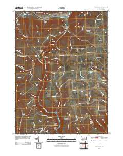 Tiadaghton 2010 topographic map thumbnail