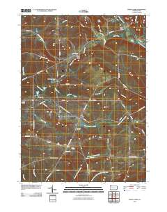 Spring Creek 2010 topographic map thumbnail