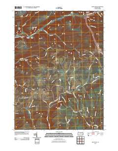 White Pine 2010 topographic map thumbnail