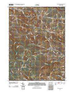 Wallaceton 2010 topographic map thumbnail