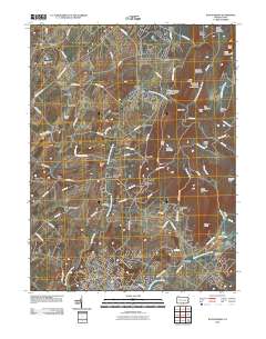 Waynesboro 2010 topographic map thumbnail