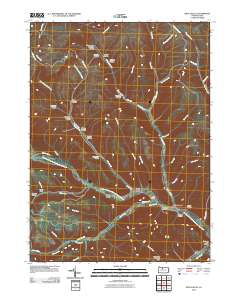 Rich Valley 2010 topographic map thumbnail