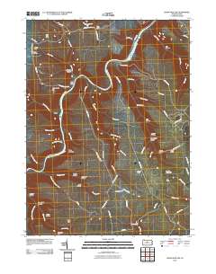 Snow Shoe NW 2010 topographic map thumbnail