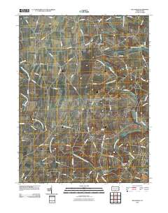 Williamson 2010 topographic map thumbnail
