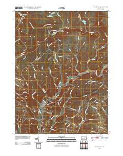 Picture Rocks 2010 topographic map thumbnail