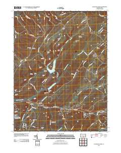 Caledonia Park 2010 topographic map thumbnail