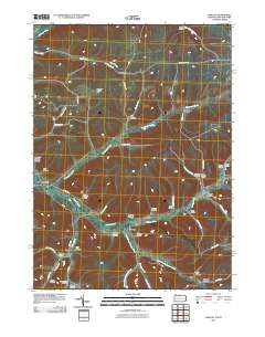 Oswayo 2010 topographic map thumbnail