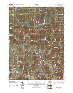 Mount Chestnut 2010 topographic map thumbnail