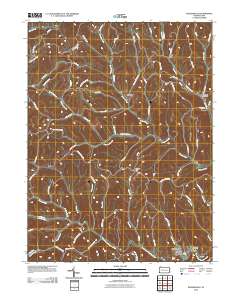 Rogersville 2010 topographic map thumbnail