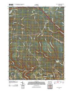 Elliott Park 2010 topographic map thumbnail