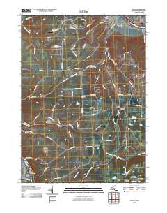 Caton 2010 topographic map thumbnail