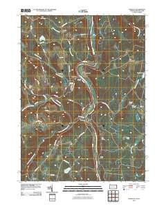 Damascus 2010 topographic map thumbnail
