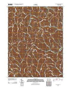 Oak Forest 2010 topographic map thumbnail
