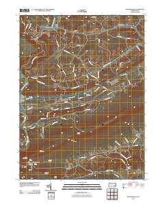 New Ringgold 2010 topographic map thumbnail