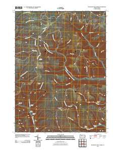 Wildwood Fire Tower 2010 topographic map thumbnail