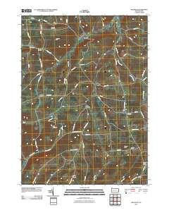 Millerton 2010 topographic map thumbnail