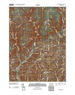 Salladasburg 2010 topographic map thumbnail